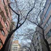 ヒメ日記 2026/03/29 14:08 投稿 雪平やよい 五反田ウルトラファンタジー