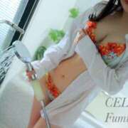 ヒメ日記 2025/04/02 22:17 投稿 Fumika CELEB（セレブ）