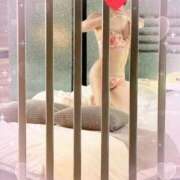 ヒメ日記 2026/03/16 05:56 投稿 池田 なお こあくまな熟女たち 周南・徳山店（KOAKUMAグループ）