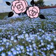 ヒメ日記 2025/07/07 17:54 投稿 酒寄 熟女の風俗最終章 横浜本店