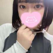 ヒメ日記 2024/12/15 13:49 投稿 おと 白いぽっちゃりさん五反田店