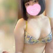 ヒメ日記 2024/12/17 12:39 投稿 おと 白いぽっちゃりさん五反田店