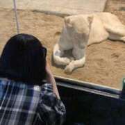 ヒメ日記 2025/03/06 16:29 投稿 おと 白いぽっちゃりさん五反田店