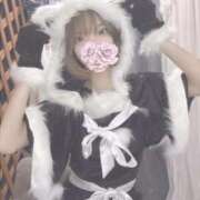 ヒメ日記 2024/12/25 17:41 投稿 よはね パンチラJK