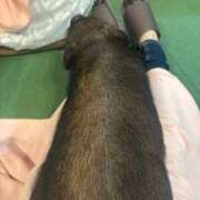 ヒメ日記 2025/08/20 17:16 投稿 よはね パンチラJK