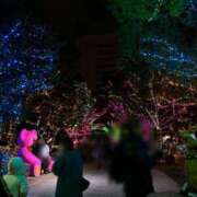 ヒメ日記 2024/12/23 06:30 投稿 ラン Club Hearts