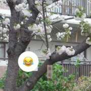 ヒメ日記 2026/04/09 22:32 投稿 ラン Club Hearts