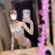 ヒメ日記 2025/07/29 12:51 投稿 はる フロンティア