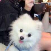 ヒメ日記 2025/01/20 10:06 投稿 める. G-SPOT