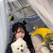 ヒメ日記 2025/04/02 12:16 投稿 める. G-SPOT