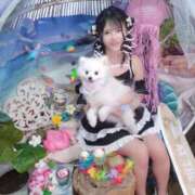 ヒメ日記 2025/07/30 12:16 投稿 める. G-SPOT