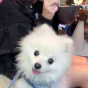 ヒメ日記 2026/01/11 15:02 投稿 める. G-SPOT