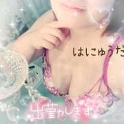 ヒメ日記 2025/02/03 11:01 投稿 羽生田　まれ エテルナ京都