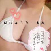 ヒメ日記 2025/02/07 09:29 投稿 羽生田　まれ エテルナ京都