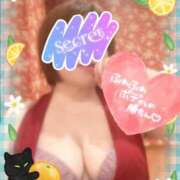 ヒメ日記 2025/05/30 09:45 投稿 羽生田　まれ エテルナ京都