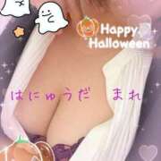 ヒメ日記 2025/09/29 09:37 投稿 羽生田　まれ エテルナ京都