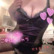 ヒメ日記 2025/11/18 09:16 投稿 羽生田　まれ エテルナ京都