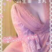 ヒメ日記 2026/04/12 23:05 投稿 羽生田　まれ エテルナ京都