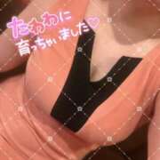 ヒメ日記 2026/09/29 23:58 投稿 羽生田　まれ エテルナ京都