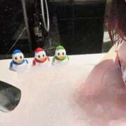 ヒメ日記 2024/12/29 19:15 投稿 ひより 千葉人妻花壇