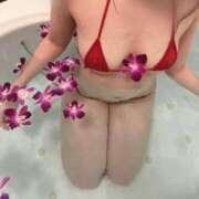 ヒメ日記 2025/01/03 17:57 投稿 ひより 千葉人妻花壇