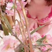 ヒメ日記 2026/02/28 16:48 投稿 ひより 千葉人妻花壇