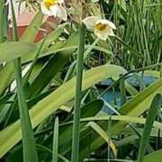 ヒメ日記 2025/02/02 11:45 投稿 ちの 熟女家 ミナミエリア店