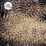 ヒメ日記 2025/06/29 08:48 投稿 ちの 熟女家 ミナミエリア店