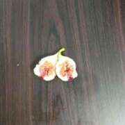 ヒメ日記 2025/09/17 11:45 投稿 ちの 熟女家 ミナミエリア店