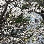 ヒメ日記 2026/03/28 17:35 投稿 ちの 熟女家 ミナミエリア店