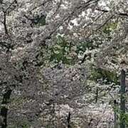 ヒメ日記 2026/04/06 16:36 投稿 ちの 熟女家 ミナミエリア店