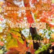 ヒメ日記 2024/11/18 01:59 投稿 ゆきな 白い巨乳