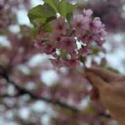 ヒメ日記 2025/03/19 15:07 投稿 ひより 全裸のいいなり美女OR満員ちかん電車