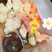 ヒメ日記 2025/05/10 18:37 投稿 ひより 全裸のいいなり美女OR満員ちかん電車