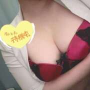 ヒメ日記 2025/05/12 23:17 投稿 ひより 全裸のいいなり美女OR満員ちかん電車