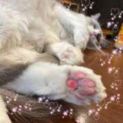 ヒメ日記 2025/11/25 13:27 投稿 ひより 全裸のいいなり美女OR満員ちかん電車