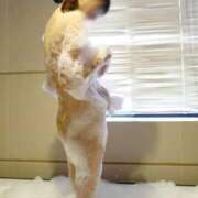 ヒメ日記 2025/05/24 08:10 投稿 りか 人妻美人館