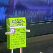 ヒメ日記 2026/01/19 17:05 投稿 なぎさ La vista （ラビスタ）