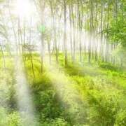 ヒメ日記 2025/07/18 06:06 投稿 あさみ 出会い系人妻ネットワーク さいたま～大宮編