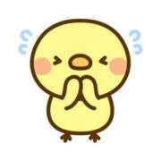 ヒメ日記 2025/12/26 04:02 投稿 あさみ 出会い系人妻ネットワーク さいたま～大宮編