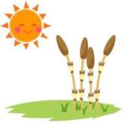 ヒメ日記 2026/02/13 23:12 投稿 あさみ 出会い系人妻ネットワーク さいたま～大宮編