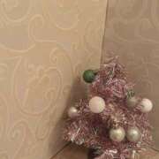 ヒメ日記 2024/12/23 21:30 投稿 水城 メンズボディSPA 小山