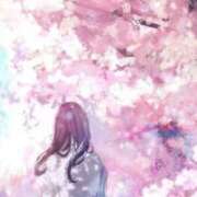 ヒメ日記 2025/04/29 15:54 投稿 亜子 東京人妻フォーシーズンズ