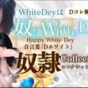 ヒメ日記 2025/03/12 00:08 投稿 さき 奴隷コレクション梅田店