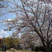 ヒメ日記 2025/04/04 14:23 投稿 体験ノノ ミセスコレクション