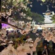 ヒメ日記 2026/04/05 13:23 投稿 体験ノノ ミセスコレクション
