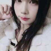 ヒメ日記 2026/04/14 13:49 投稿 おりひめ サクラムーン