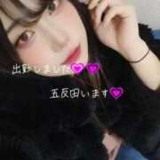 ヒメ日記 2025/10/19 13:34 投稿 おりひめ ニューハーフ・男の娘・女装系デリヘル　ピーチムーン五反田店