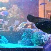 ヒメ日記 2025/08/09 22:53 投稿 町村 熟女の風俗最終章　鶯谷店