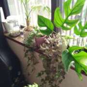 町村 おはよう👋😆✨☀️御座います。珍しく早い、出勤ですよ💕 熟女の風俗最終章　鶯谷店